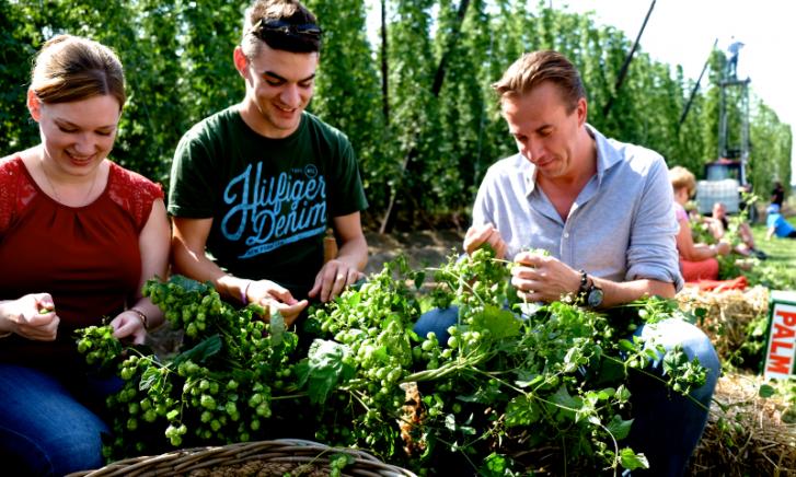 Palm Hoppluk